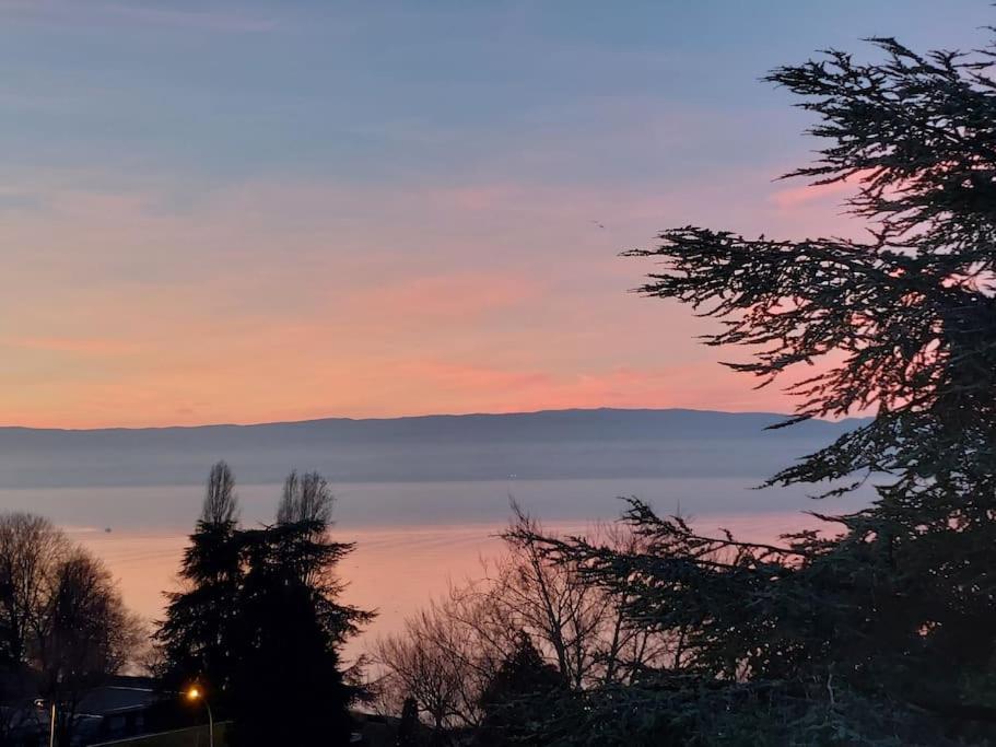 Le Mirabeau Vue Lac Évian-les-Bains Zewnętrze zdjęcie